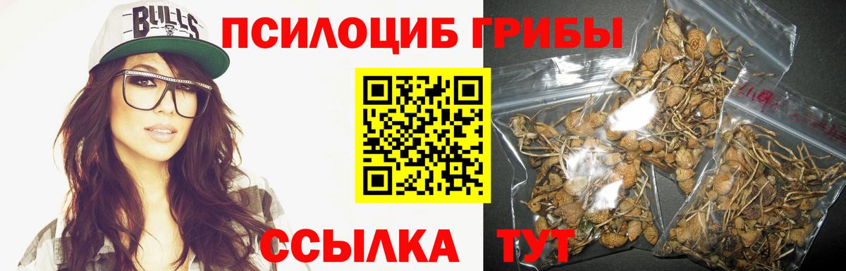 Галлюциногенные грибы прущие грибы  Вход с VPN  Гудермес  Галлюциногенные грибы MAGIC MUSHROOMS 